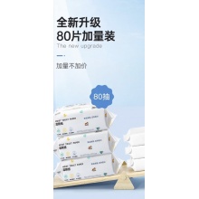大湿纸巾